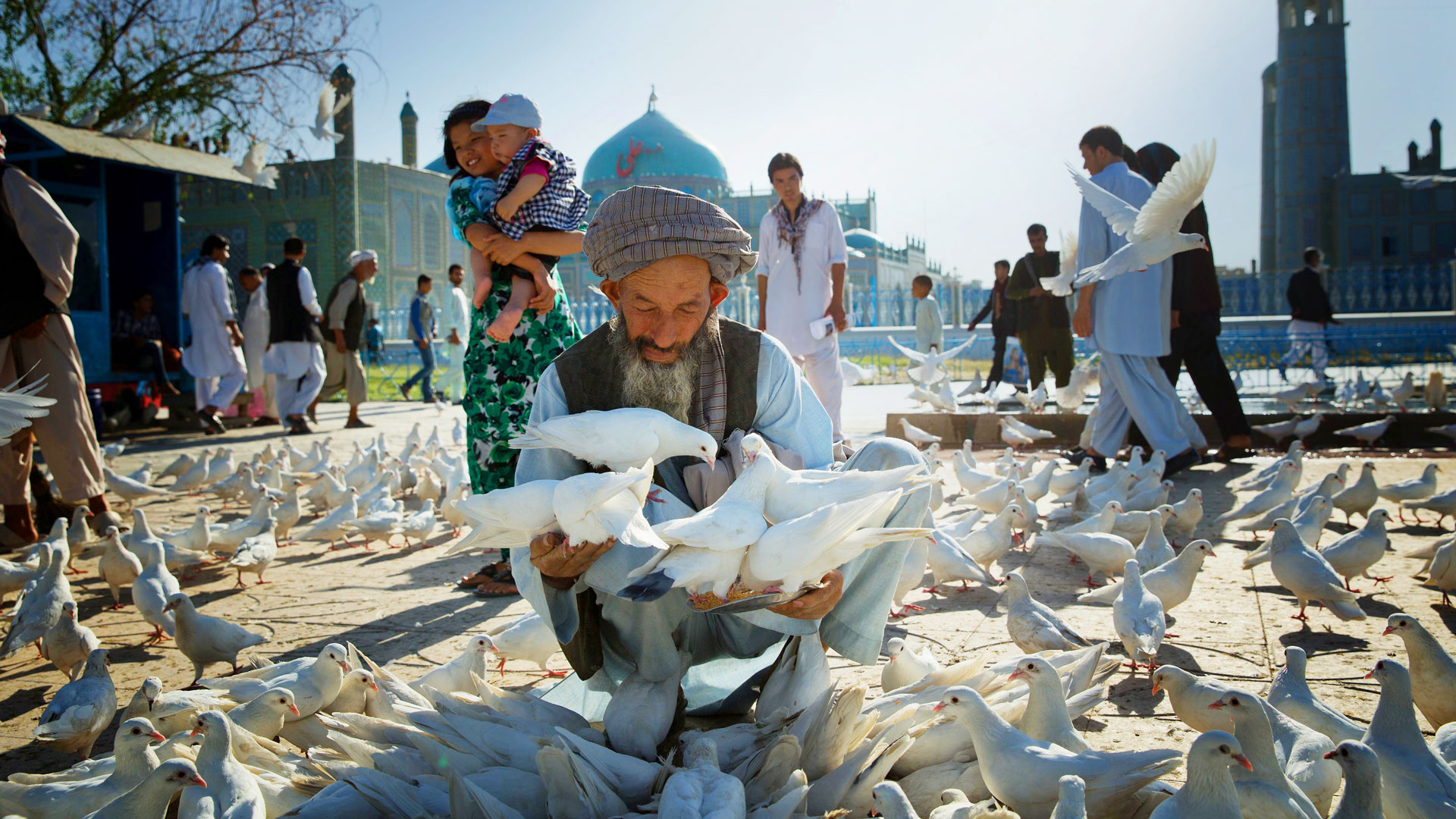 Ein Afghane sitzt vor einer Moschee und hat viele Tauben in den Händen, im Hintergrund sind Menschen und viele Tauben