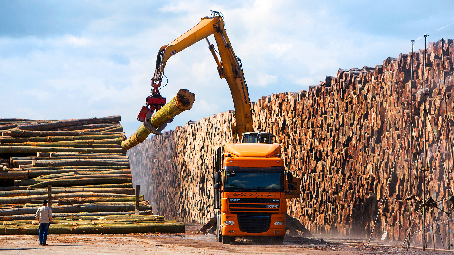 Forstwirtschaftsbetrieb LKW mit Kran hebt Baumstamm